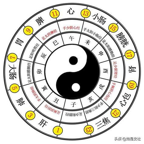 八卦 易經|易經入門：太極、兩儀、四象、八卦是什麼意思？